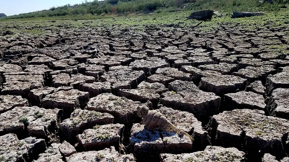 Cambio Climatico-Carlos Villalba (48)